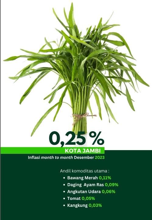 Perkembangan Indeks Harga Konsumen Desember 2023